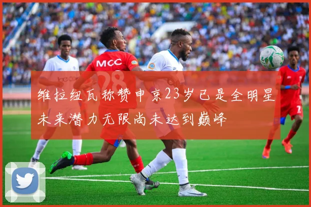 维拉纽瓦称赞申京23岁已是全明星未来潜力无限尚未达到巅峰
