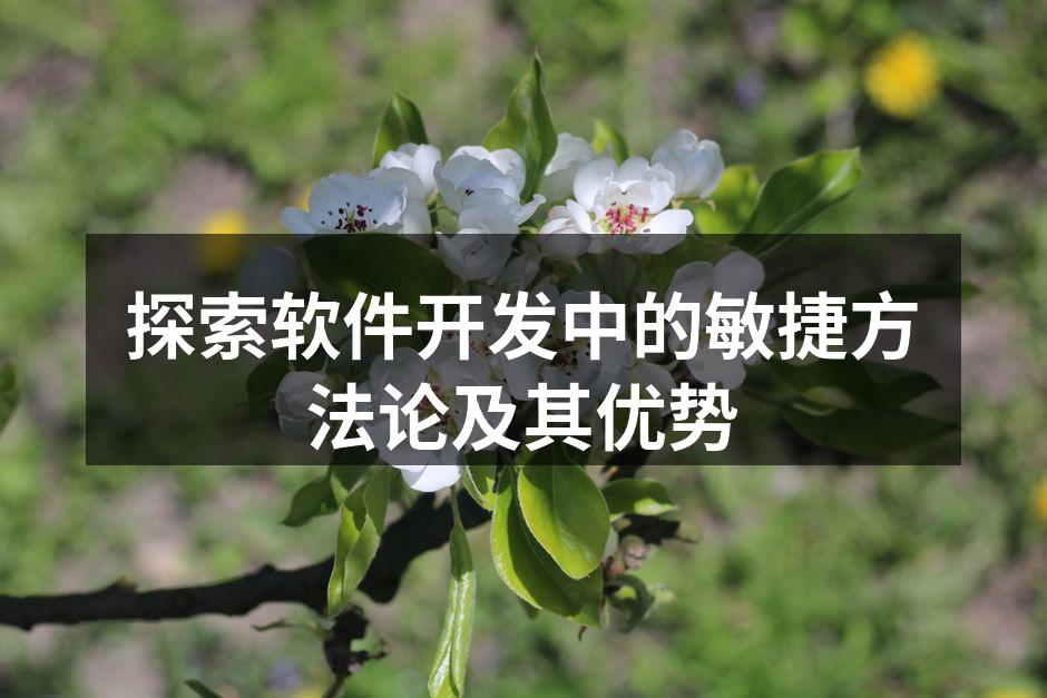 探索软件开发中的敏捷方法论及其优势